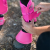 pol_pl_Ochraniacze-Horsenjoy-Trendy-15629_3.png