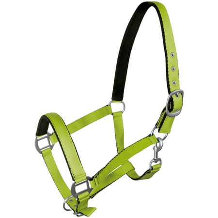 pol_pm_Kantar-York-Fluo-384_1.jpg