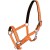 pol_pm_Kantar-York-Fluo-381_1.jpg