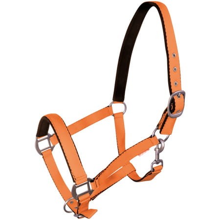 pol_pm_Kantar-York-Fluo-381_1.jpg