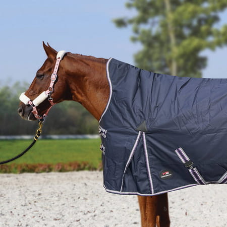pol_pm_Derka-Horsenjoy-Aristo-High-Neck-600D-padokowa-przeciwdeszczowa-z-ociepleniem-250-g-135_2.jpg